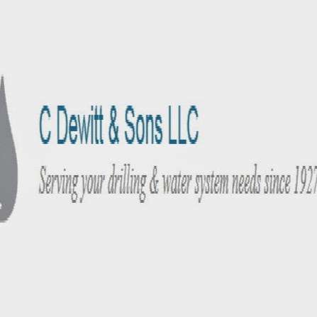 Jobs in C Dewitt & Sons LLC - reviews