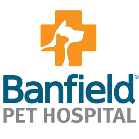 Jobs in Banfield Pet Hospital - reviews